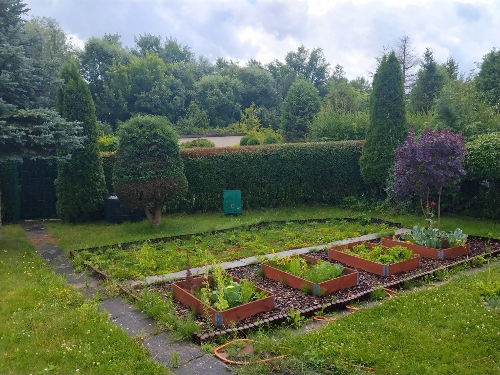 Działka rod Gliwice Sośnica. Zdjęcie 3