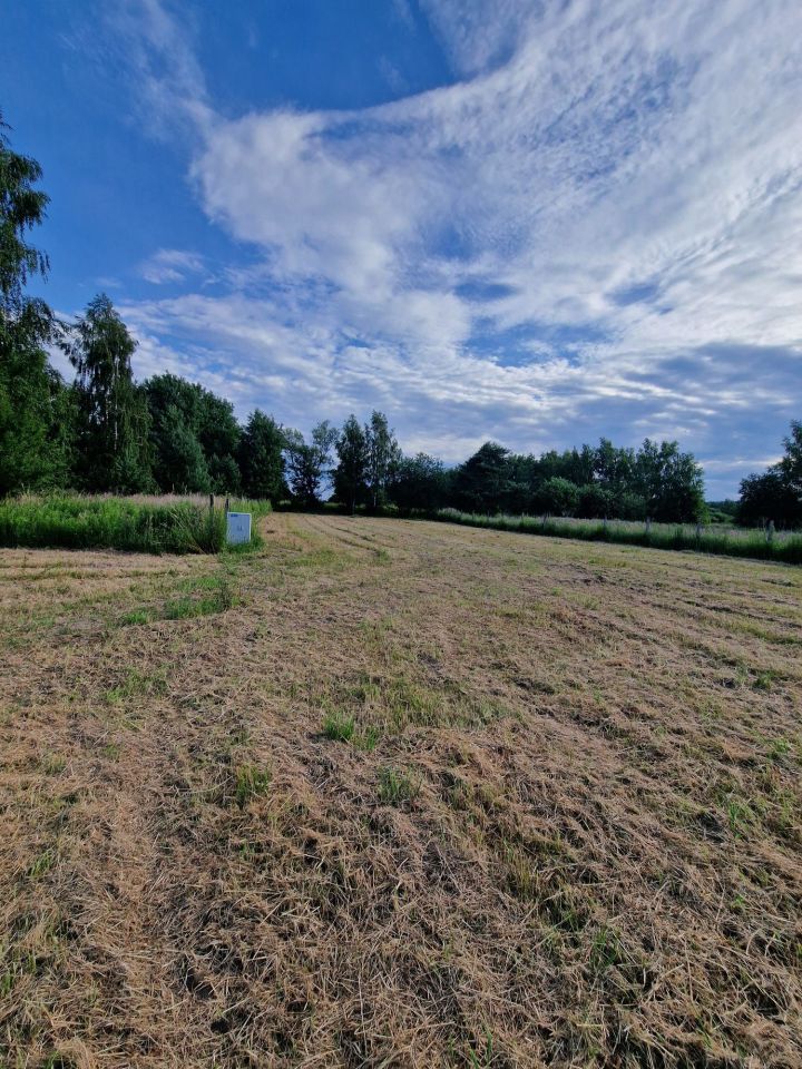 Działka budowlana Skierniewice. Zdjęcie 1