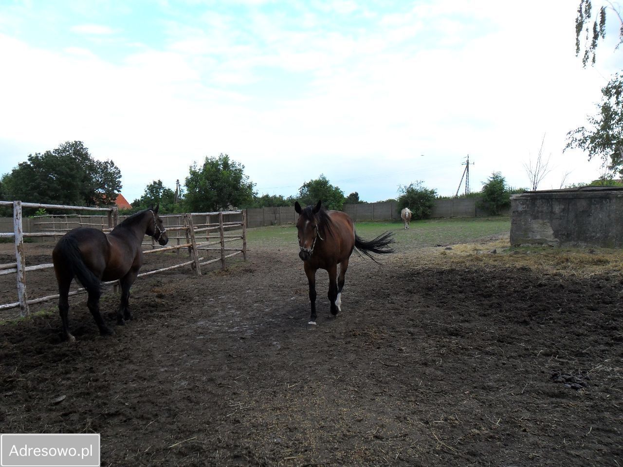 Hala/magazyn Młynica. Zdjęcie 6