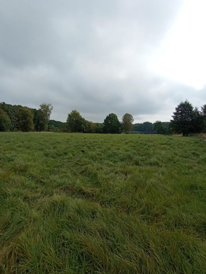 Działka inna Żory Baranowice, ul. Pukowca. Zdjęcie 4