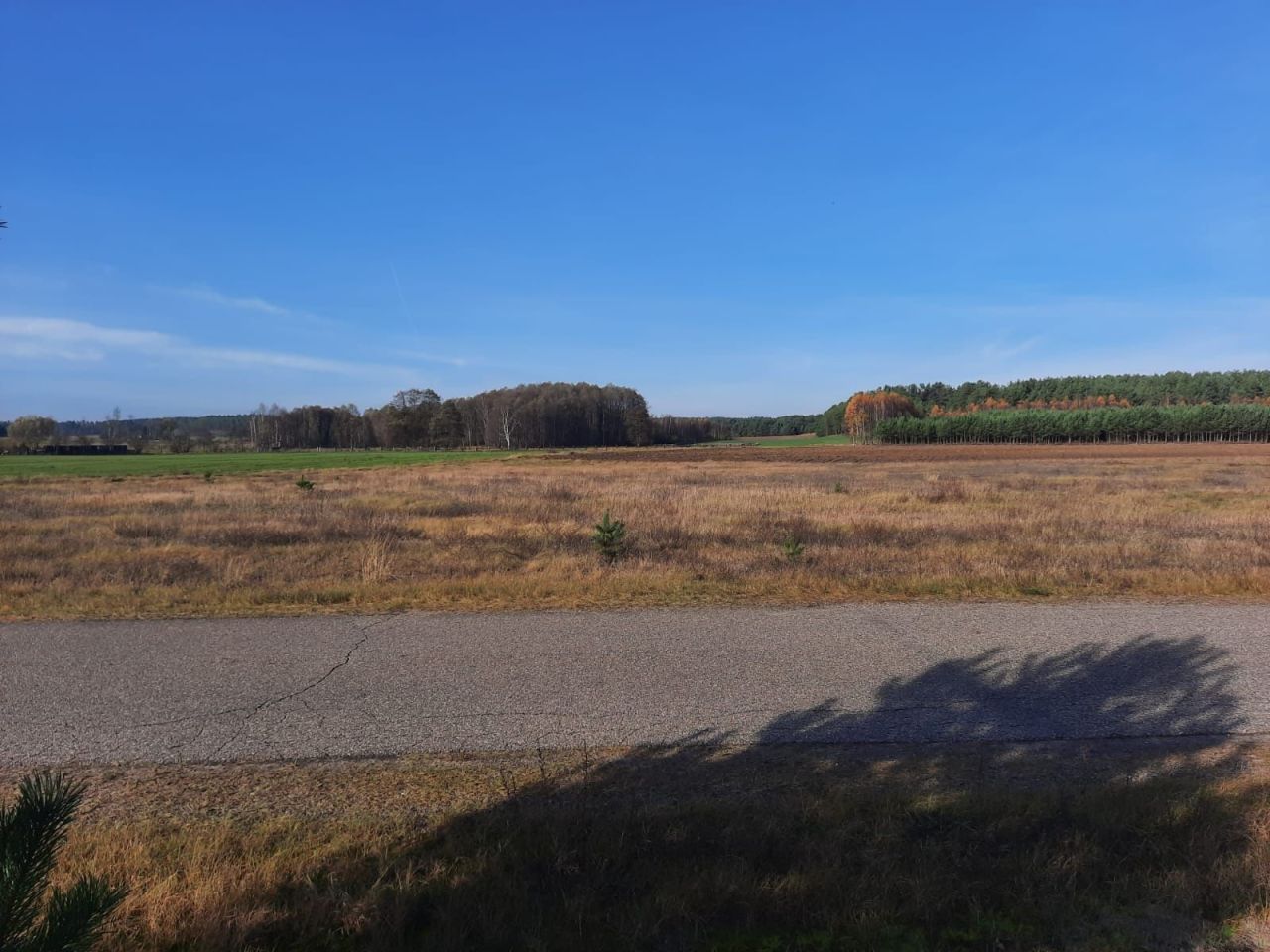 Działka inwestycyjna Luboń. Zdjęcie 2