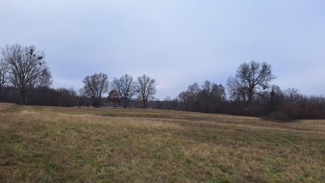 Działka rolna Mariankowo. Zdjęcie 6