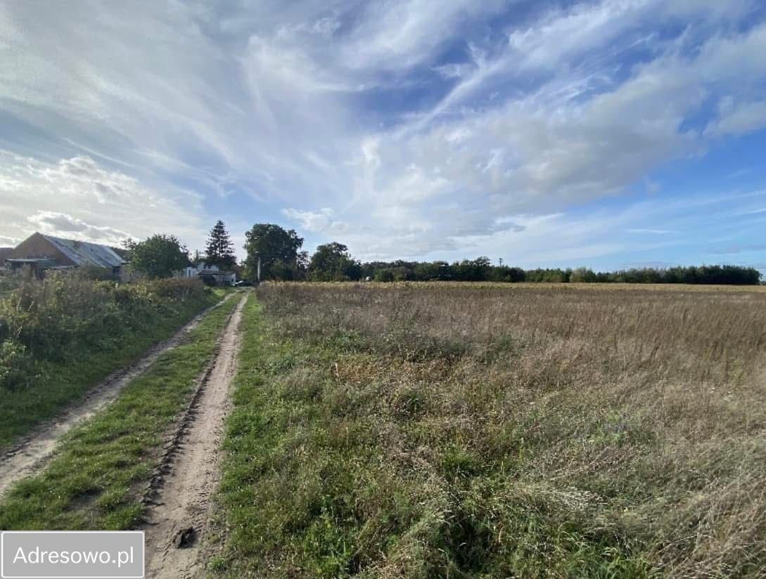 Działka budowlana Renice. Zdjęcie 5