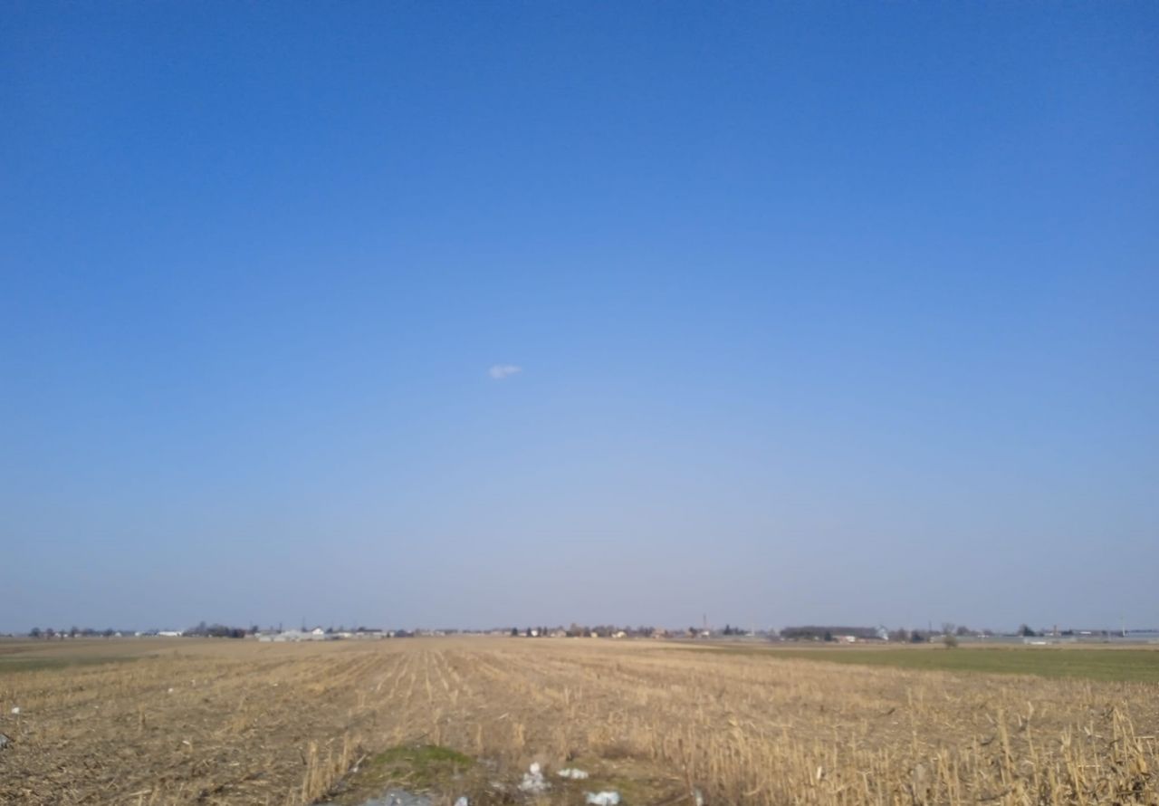 Działka rolna Kolonia Skarszewek. Zdjęcie 2