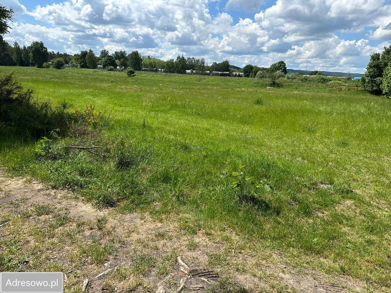Działka inwestycyjna Dębogórze, ul. Lisia. Zdjęcie 1