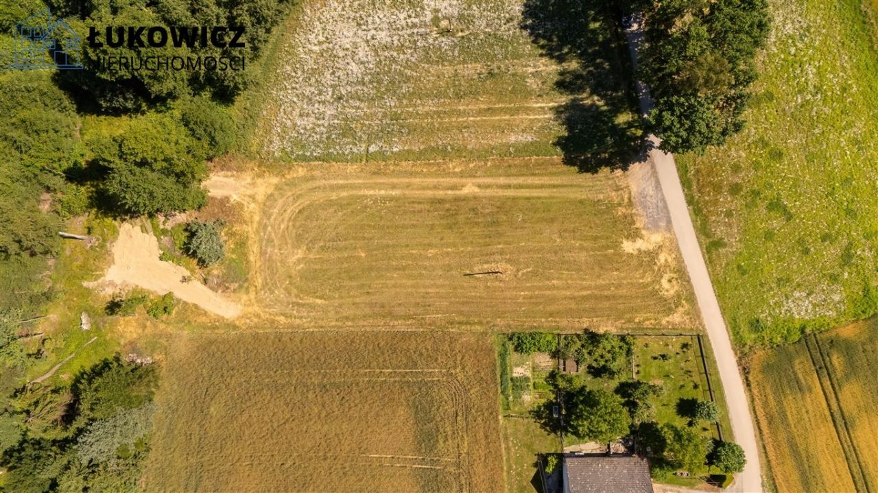 Działka budowlana Dankowice. Zdjęcie 2