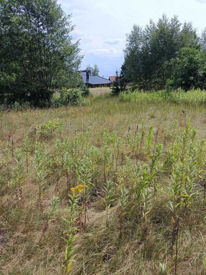 Działka budowlana Marki Struga. Zdjęcie 6