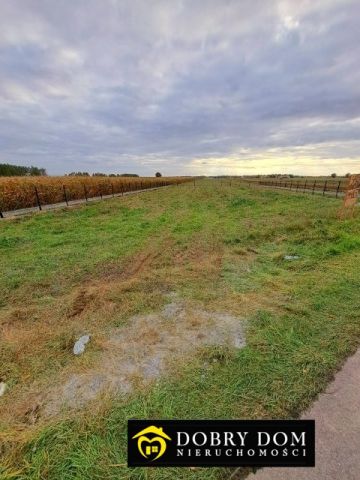 Działka budowlana Jadwisin. Zdjęcie 7