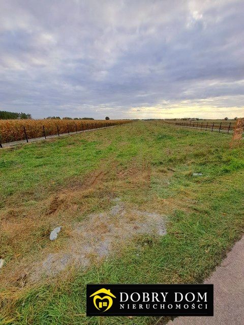 Działka budowlana Jadwisin. Zdjęcie 7