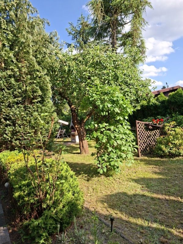 Działka rod Szałe, ul. Akacjowa. Zdjęcie 7
