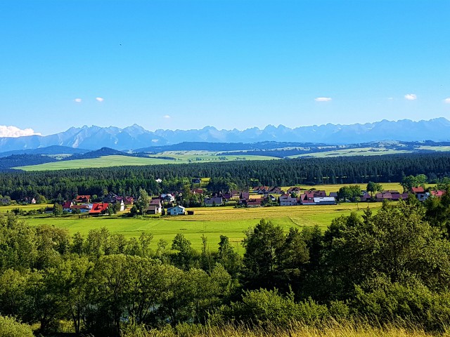 Działka rolna Knurów. Zdjęcie 1