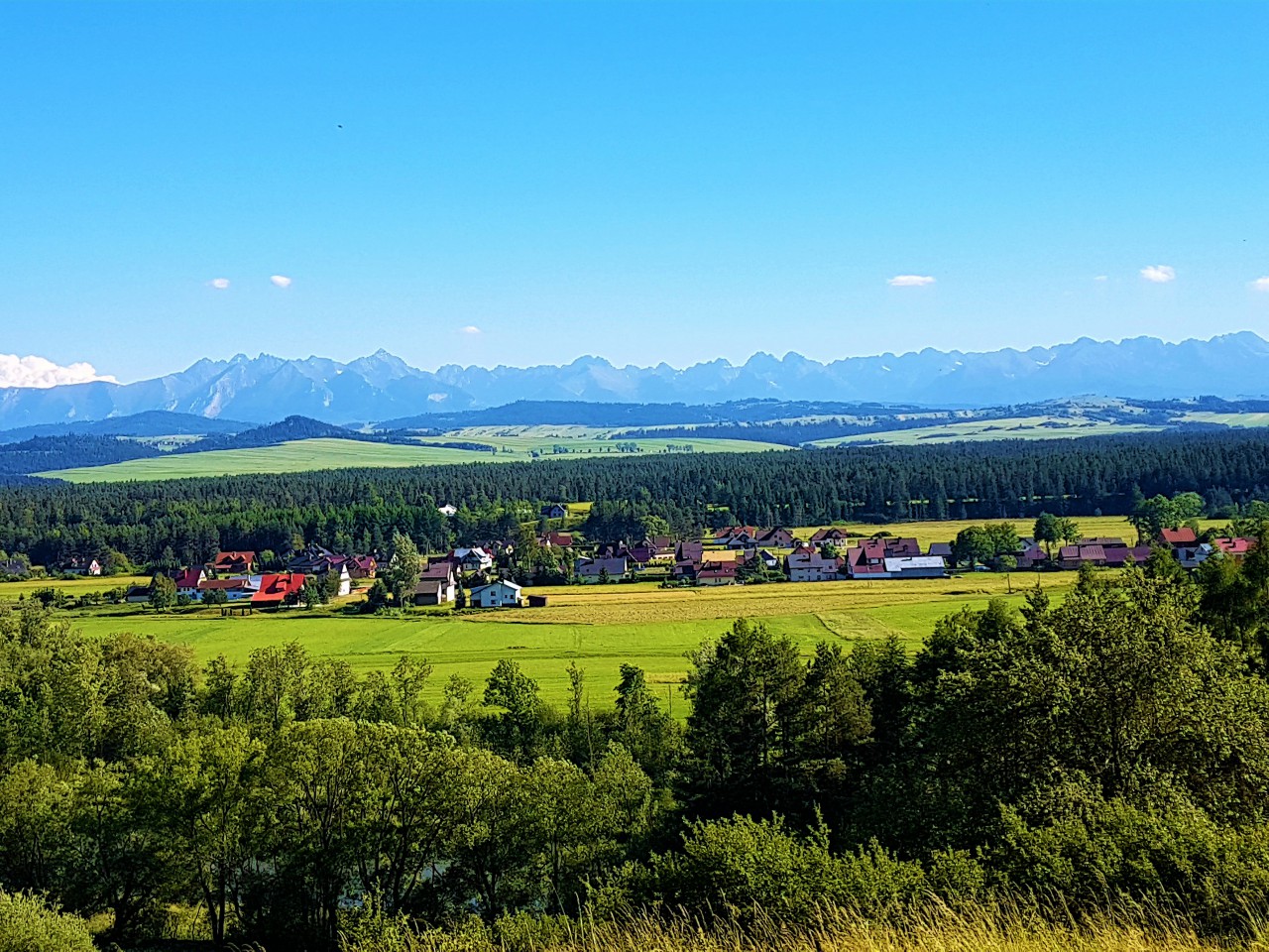 Działka rolna Knurów