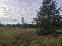 Działka budowlana Secyminek. Zdjęcie 3