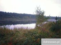 Działka Jaworznik, ul. Ściegienna. Zdjęcie 4