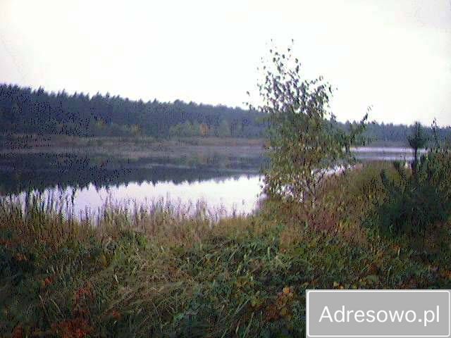 Działka Jaworznik, ul. Ściegienna. Zdjęcie 5