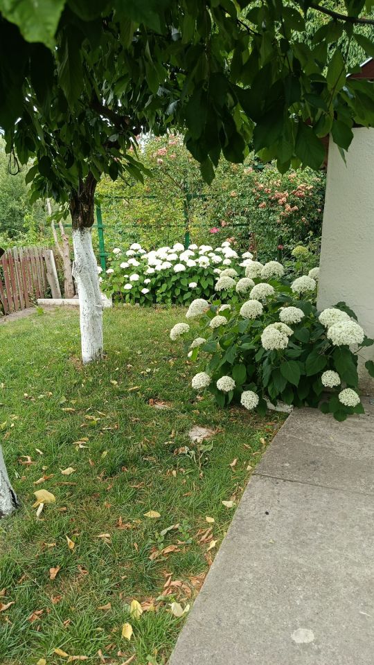 Działka rod Gorzów Wielkopolski, ul. Franklina Roosevelta. Zdjęcie 2