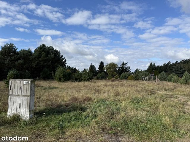 Działka budowlana Żurczyn, ul. Cisowa. Zdjęcie 1