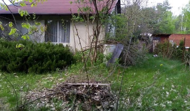 Działka rekreacyjna Borowa