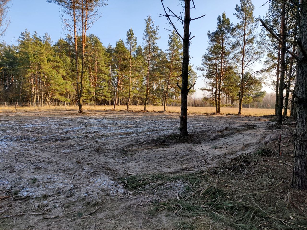 Działka budowlana Olmonty, ul. Chabrowa. Zdjęcie 2