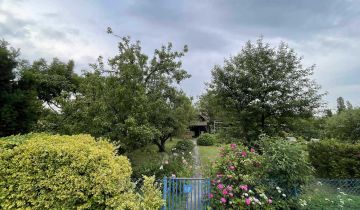 Działka rod Płock, ul. Targowa