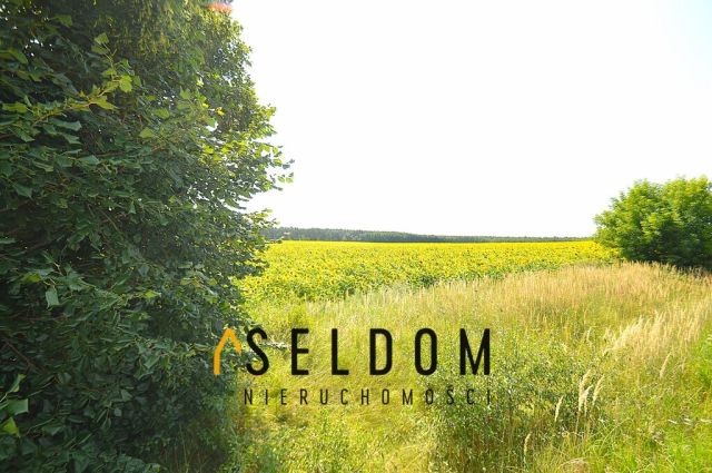 dom wolnostojący, 7 pokoi Domaszowice. Zdjęcie 9