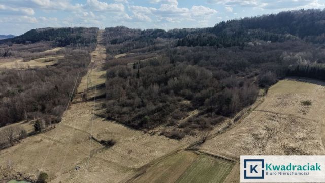 Działka rolna Lutcza. Zdjęcie 5