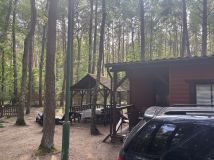 Działka rekreacyjna Sokole-Kuźnica. Zdjęcie 2