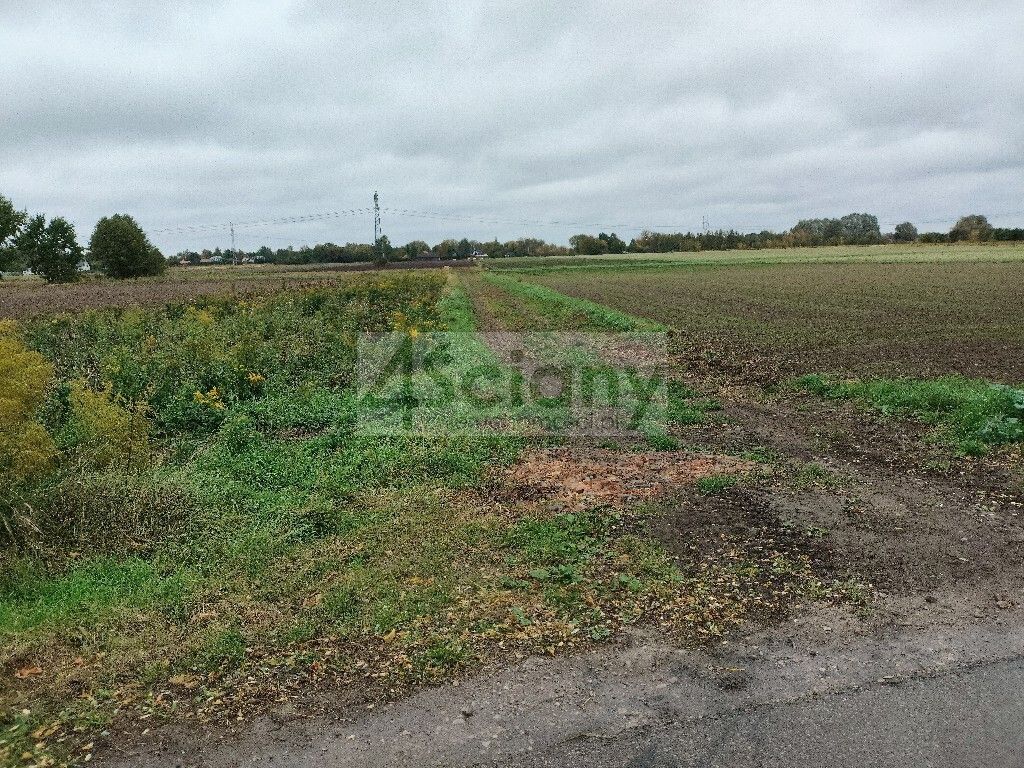 Działka budowlana Kampinos A. Zdjęcie 2