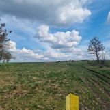 Działka siedliskowa Łabiszewo. Zdjęcie 4