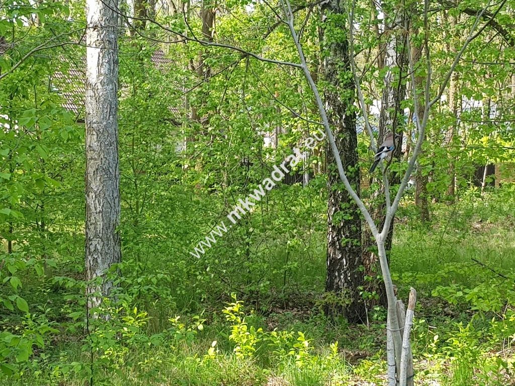 Działka budowlana Stare Budy Radziejowskie. Zdjęcie 2