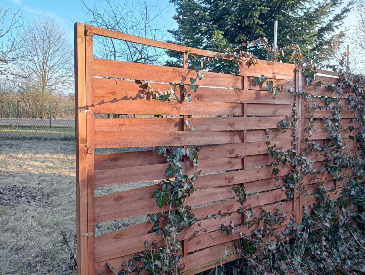 Działka rod Lubin. Zdjęcie 6