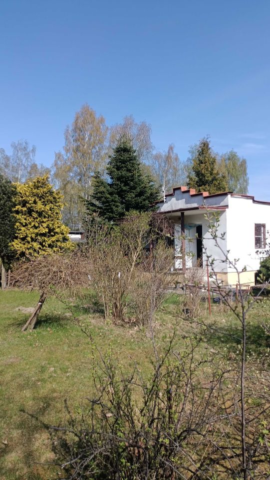 Działka rekreacyjna Łódź, ul. Przylesie. Zdjęcie 5