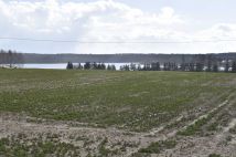 Działka rolno-budowlana Jerzwałd. Zdjęcie 4