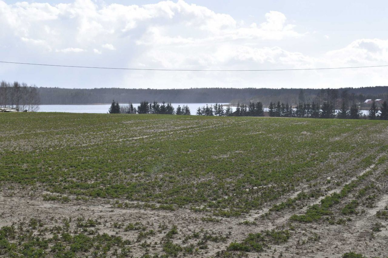 Działka rolno-budowlana Jerzwałd. Zdjęcie 5