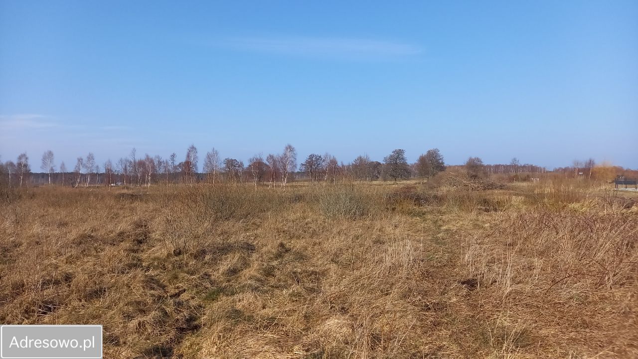 Działka rolna Sasino, ul. Żurawia. Zdjęcie 2