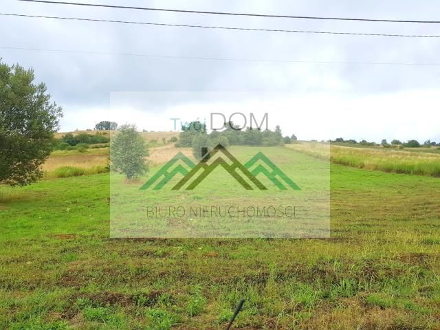 Działka inwestycyjna Krzykawa. Zdjęcie 1