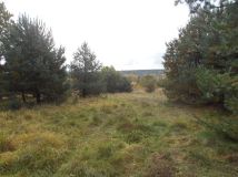 Działka rolno-budowlana Starachowice Michałów Górny, ul. Fryderyka Lempe. Zdjęcie 2