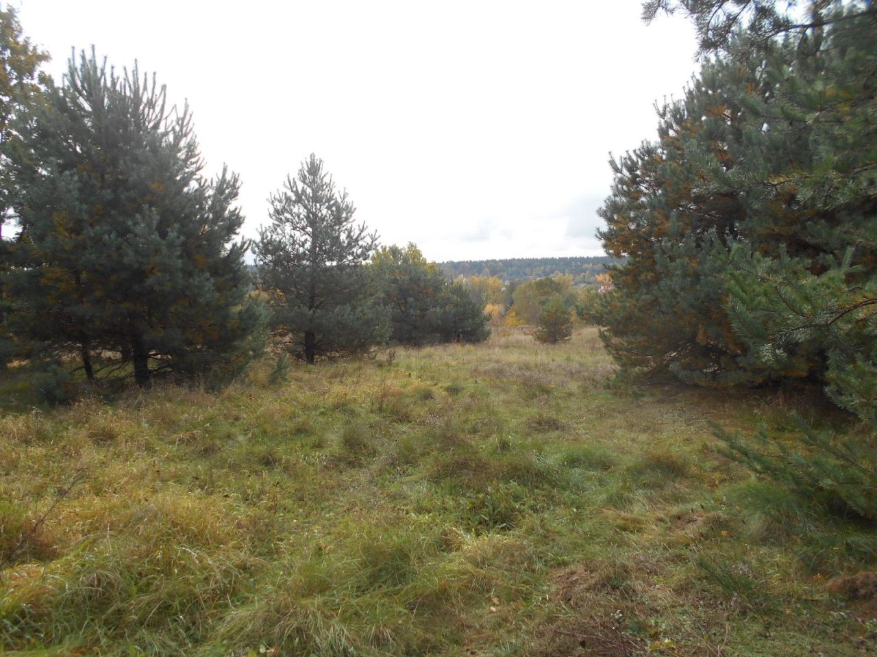 Działka rolno-budowlana Starachowice Michałów Górny, ul. Fryderyka Lempe. Zdjęcie 3