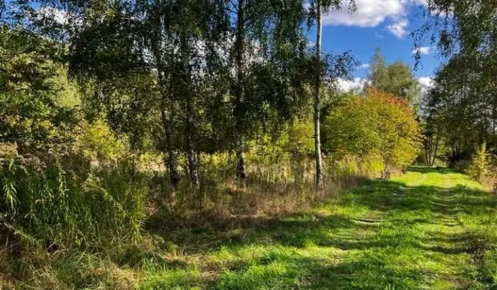 Działka budowlana Zboiska, ul. Lawendowa