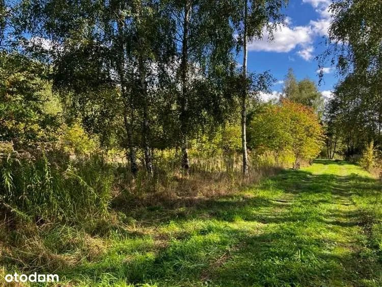 Działka budowlana Zboiska, ul. Lawendowa. Zdjęcie 1