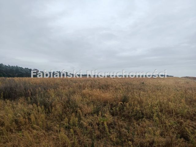 Działka budowlana Lusówko. Zdjęcie 4