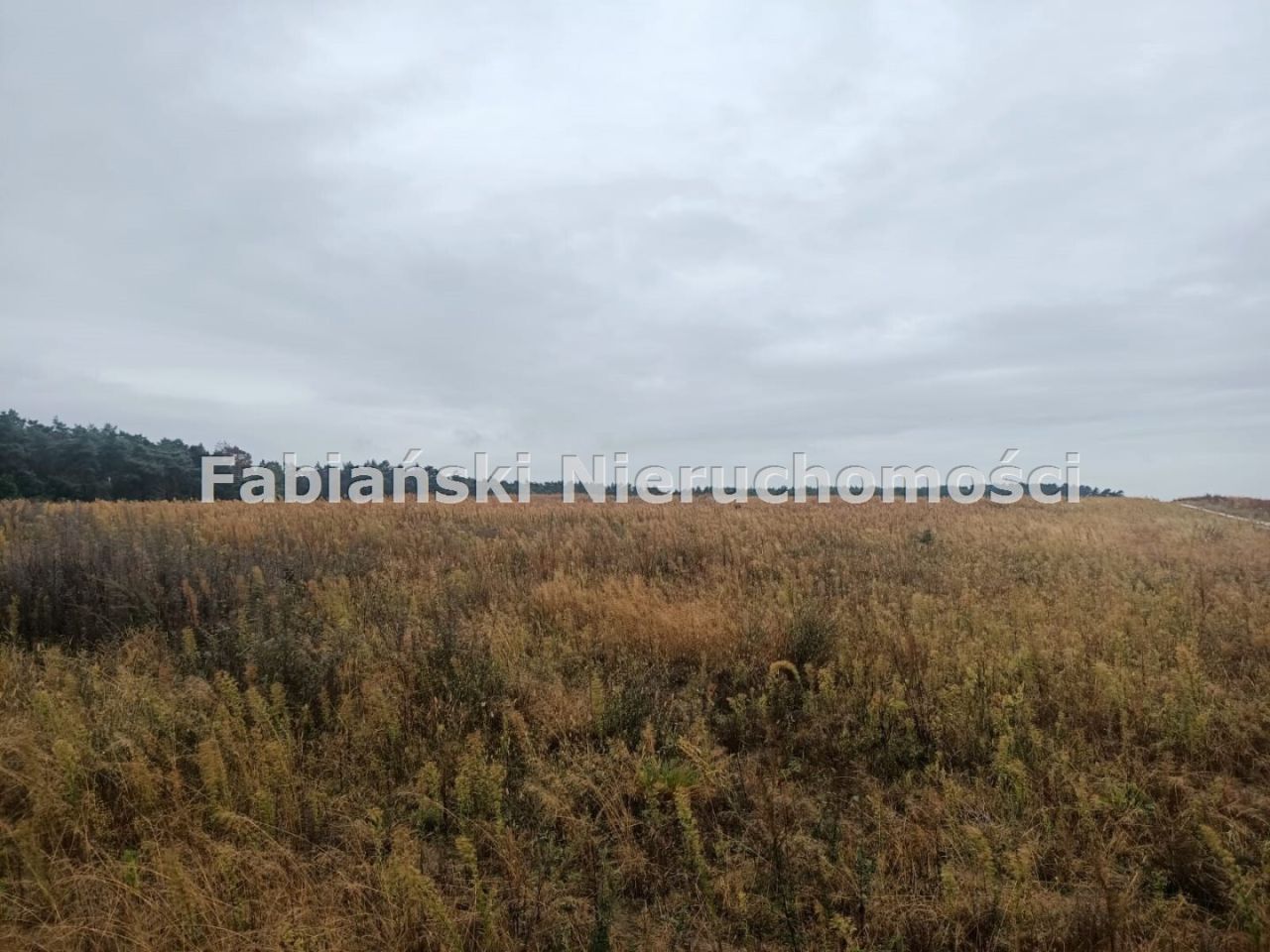Działka budowlana Lusówko. Zdjęcie 4