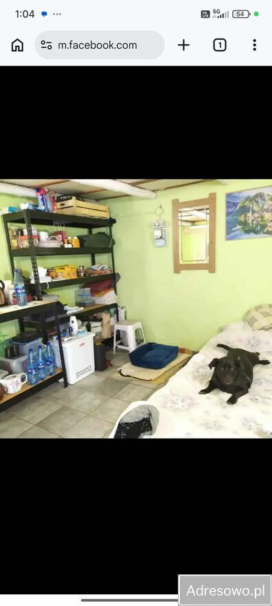 Działka rod Opole. Zdjęcie 3