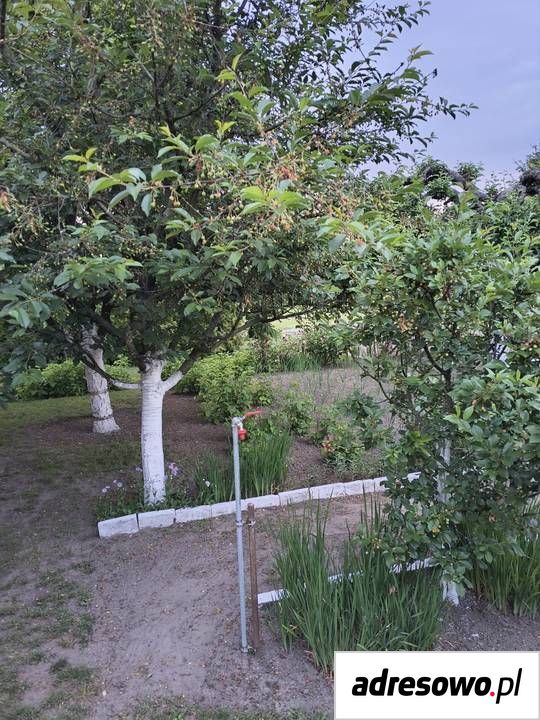 Działka rod Krotoszyn, ul. Raszkowska. Zdjęcie 2