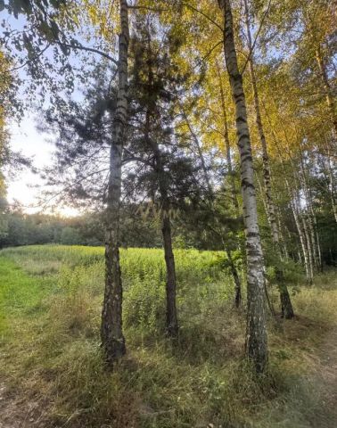 Działka rolno-budowlana Tarnów Krzyż, ul. Wilcza. Zdjęcie 5