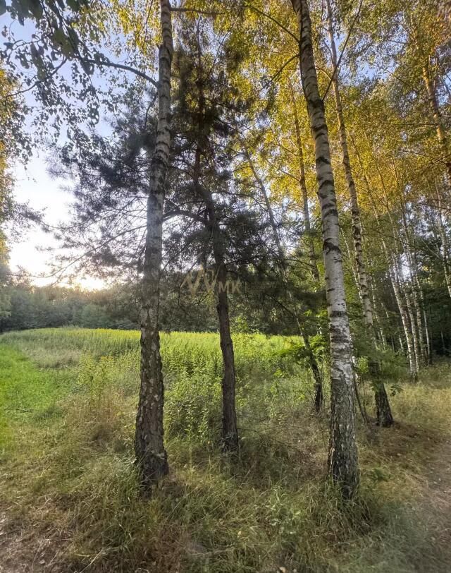 Działka rolno-budowlana Tarnów Krzyż, ul. Wilcza. Zdjęcie 5