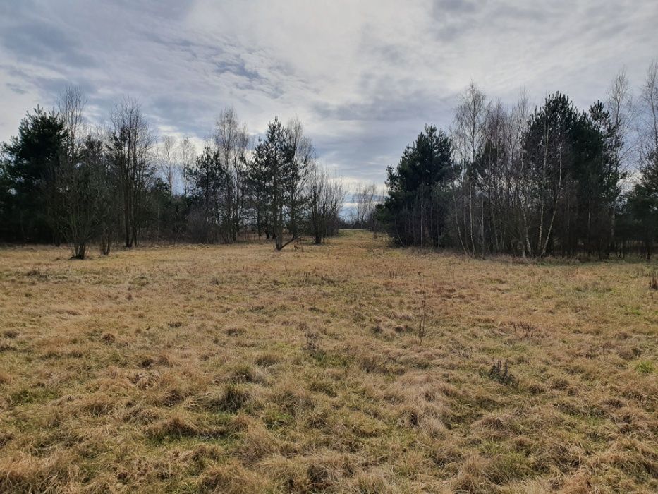 Działka rolna Lublinów. Zdjęcie 7