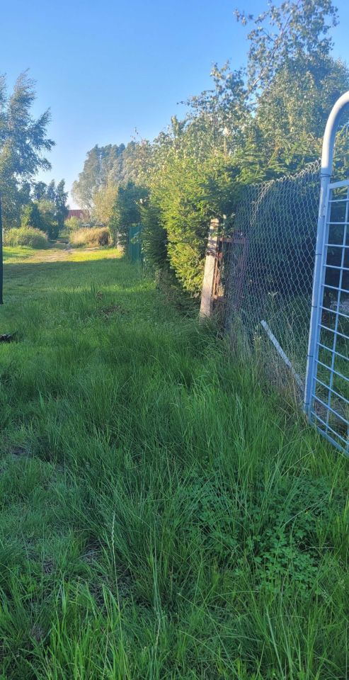 Działka rolna Karwia. Zdjęcie 3