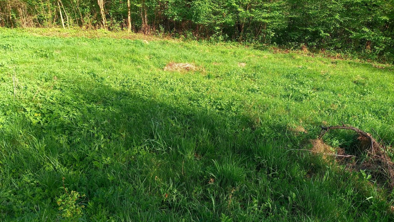 Działka rolna Krosna