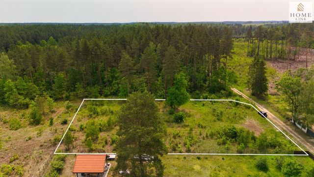 Działka leśna Klewki. Zdjęcie 5